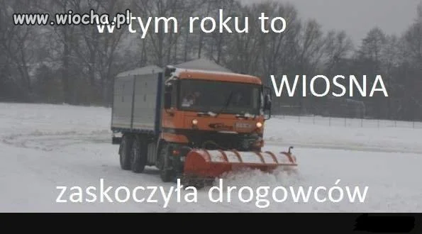 W tym roku