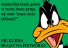 Dokładnie!