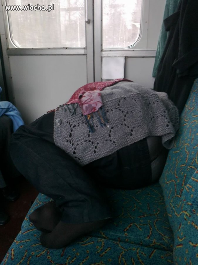 Rozgościła się na dwa miejsca siedzące