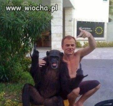 Tusk w Nigerii. Znalazł nowego kandydata do Rządu. 