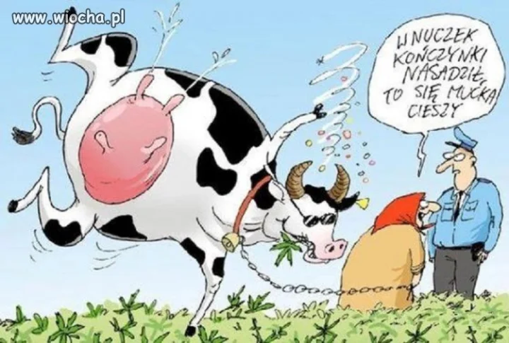 Dobry sposób na dobre mleko