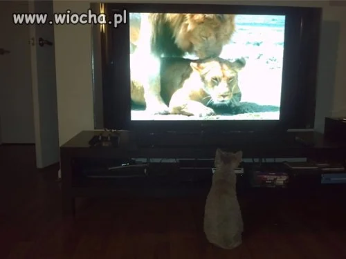 Jak myślicie...