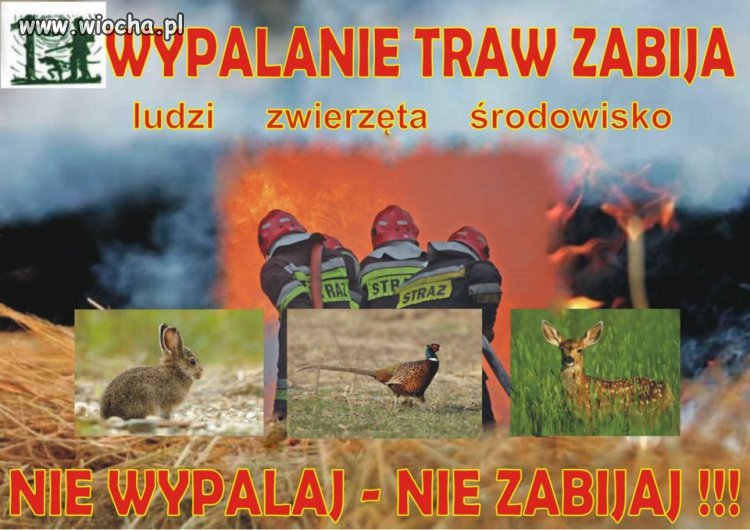 Wypalanie traw zabija ...