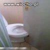 Bo trzeba sobie radzić