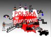 Siłą nie dali podbić, to ekonomicznie 