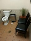 Fajne WC, chciałbym takie mieć