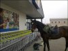 Panie tu nie wolno parkować