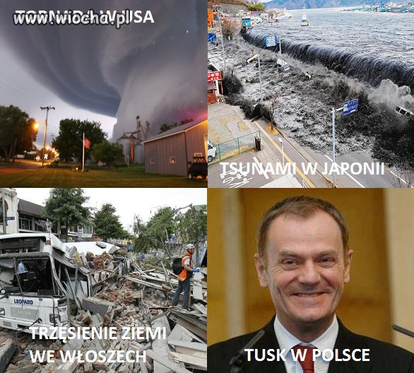 Tusk
