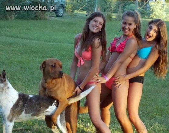 Jedzie pociąg z daleka...