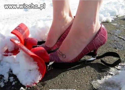Najnowszy Krzyk mody