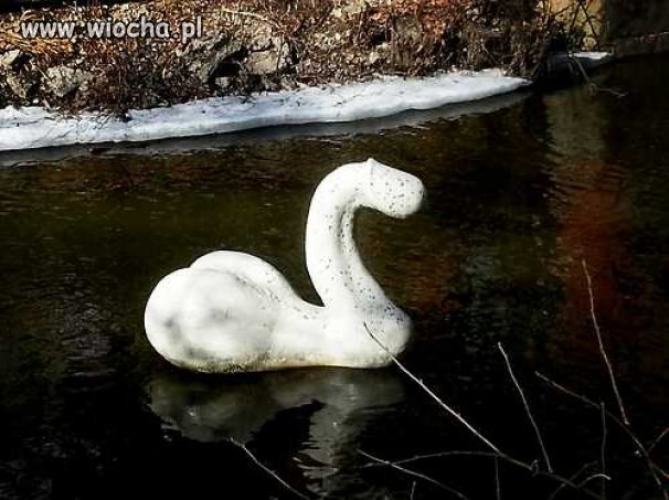 Łabędź