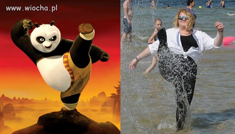 Kung fu panda