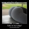 Tylko mi się wydaje?