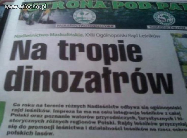 Dinozaury wyginęły, a co z dinozałrami???