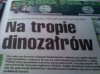Dinozaury wyginęły, a co z dinozałrami???