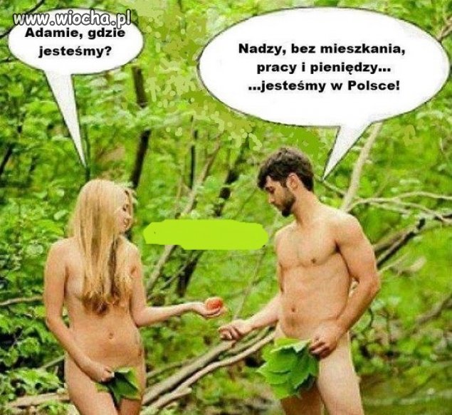 A to właśnie Polska...