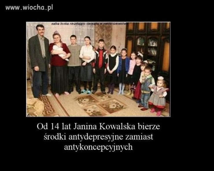 Gdy rozum śpi mnożą się króliki ...