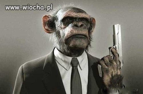 JACKCOLA