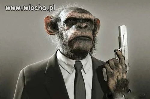 JACKCOLA