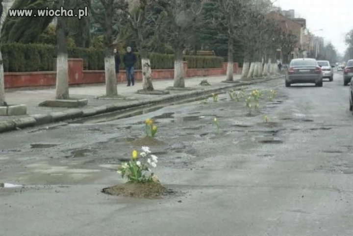 Czepiacie się drogowców,a oni są proekologiczni 