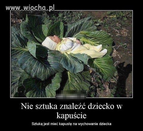 Dylemat Polaka: szukać czy nie szukać?