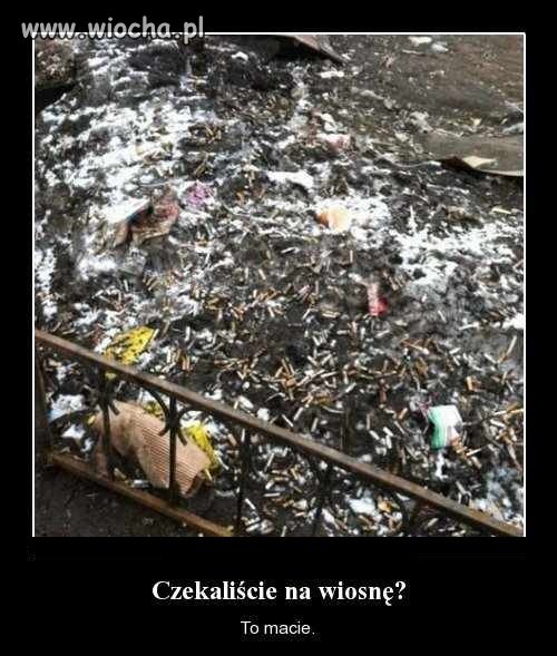 Czekaliście na wosnę 