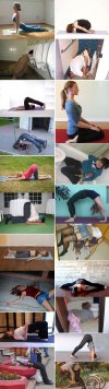 Joga