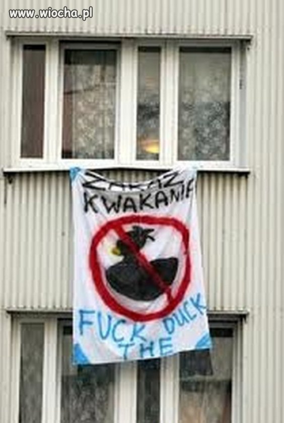Zakaz kwakania