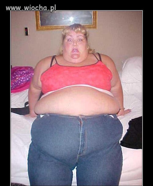 BoaKrztusiciel