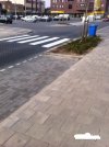 A mówią nie deptać trawników 