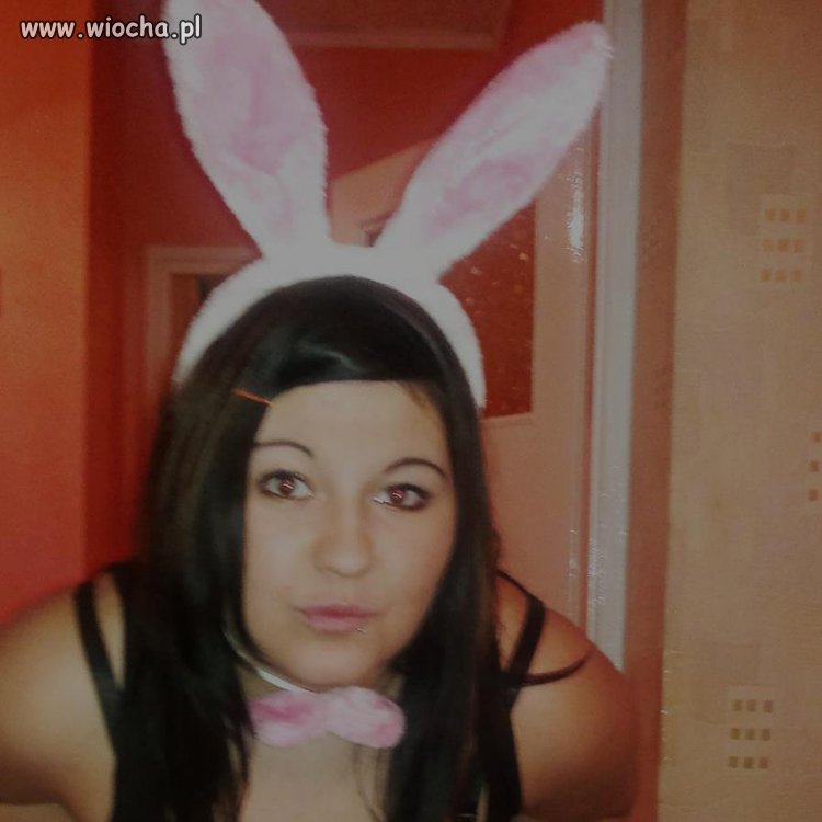 Jestem króliczkiem playboya 2013 