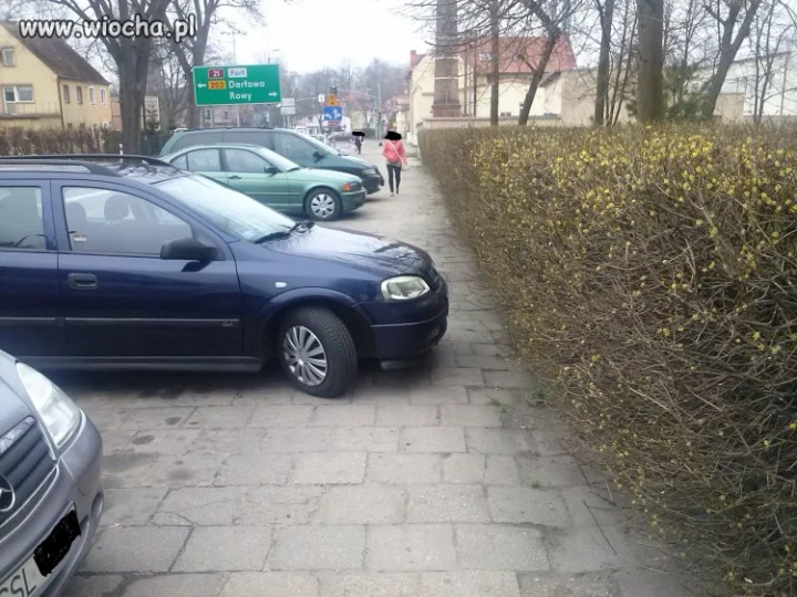 W Ustce tak parkują
