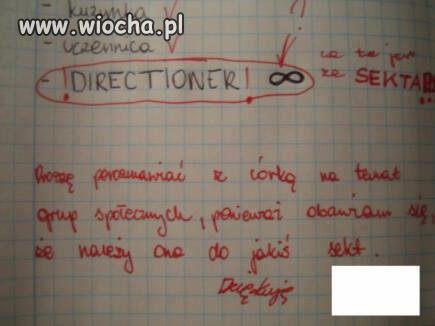 To widać fanka One Direction