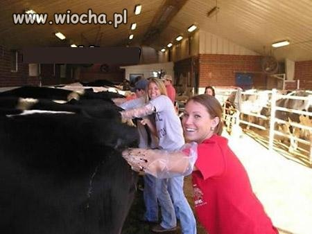 Pamiątka z wakacji