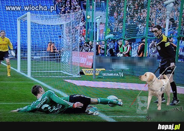 Jak miał zobaczyć?