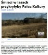Dzikie wysypiska
