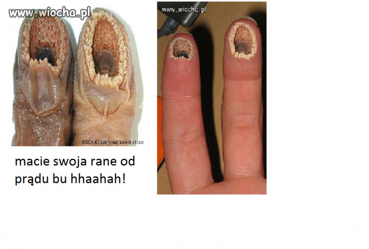 Macie swoje realne paluszki