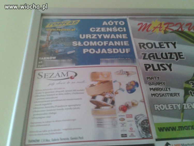 Polak potrafi