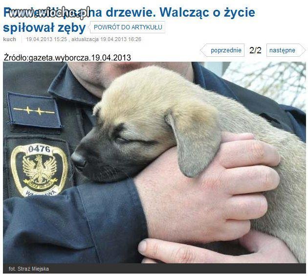 Dlaczego tacy okrutnicy chodzą wolno!