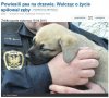 Dlaczego tacy okrutnicy chodzą wolno!