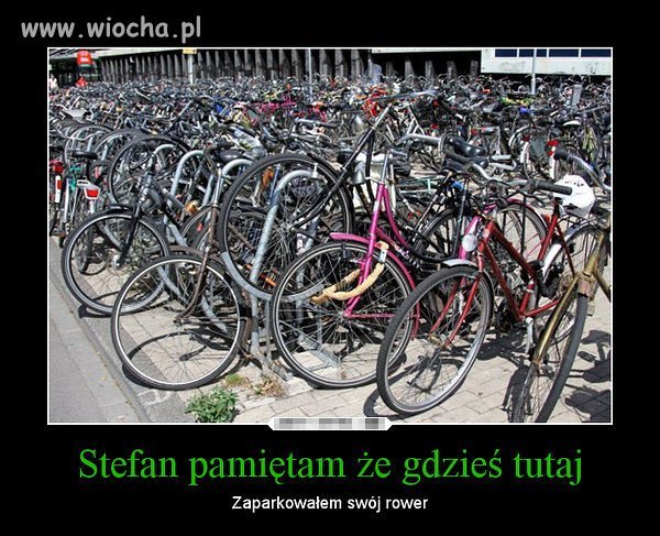 Zamieńmy samochody na rowery