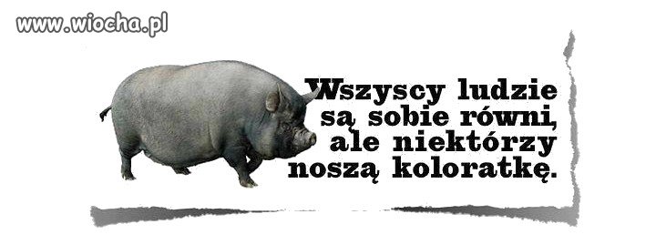 Wszyscy wiedzą o co chodzi...