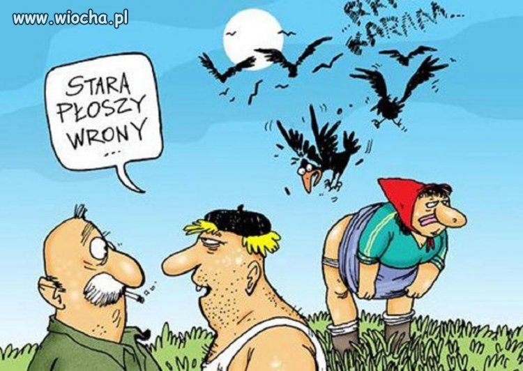 Odstraszanie wron