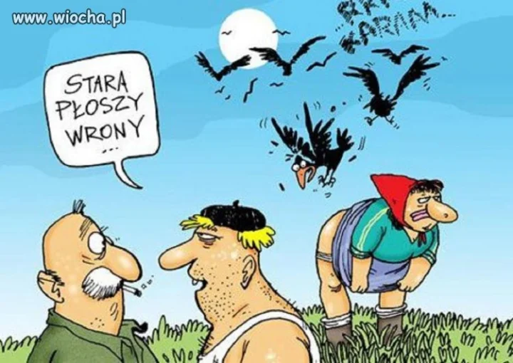 Odstraszanie wron