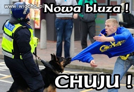 Nowa bluza
