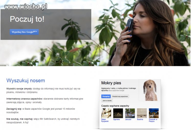 Google 