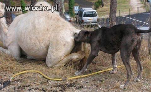Kiss me...