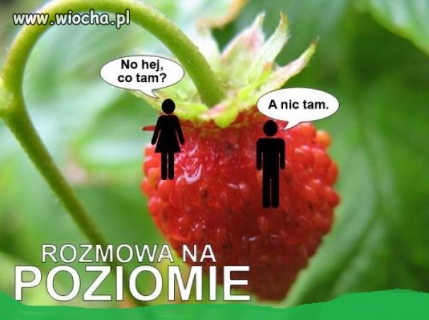 Nie ma jak rozmowa na poziomie 