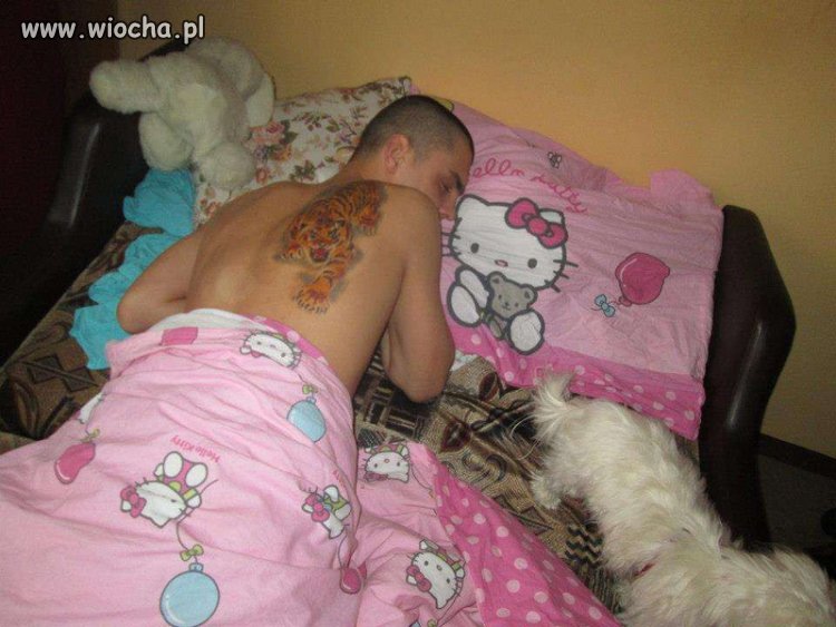 Ach, jaki z niego boski tygrys