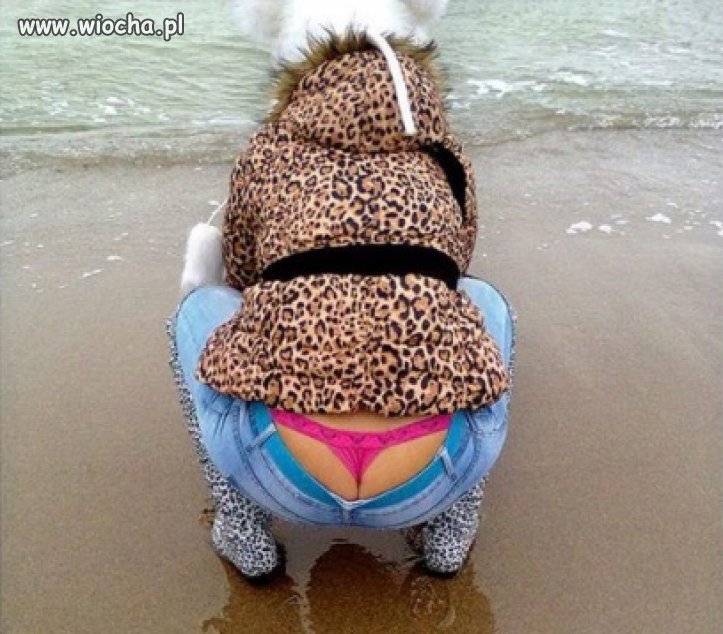 Dzika plaża, dzikie zwierzę...